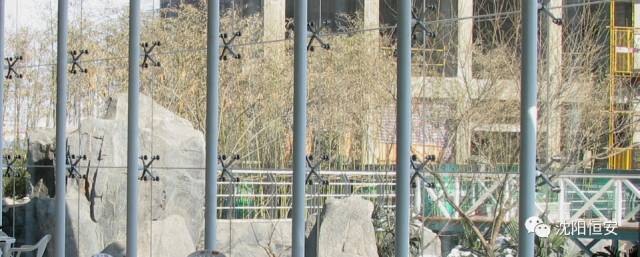 1602214719106623.jpg ggg3.jpg